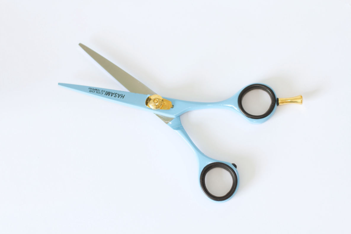 Vital>/Hasami Hairdressing Scissors
